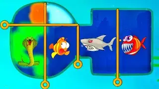Fishdom Ads + Save The Fish Gameplay | Fishdom | #421