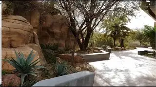 Springs Preserve - Jan 2023 (Las Vegas, NV)