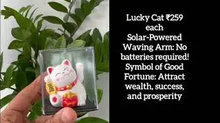 Lucky cat ,Charming Design: Beautifully  Home, office, car dashboard,solar energy #positivevibes