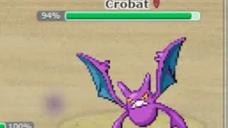 That Guy's Team Was Based