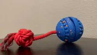 How to set up interactive dog toy