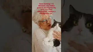 Daily Affirmations From A Cat - You Are Worthy