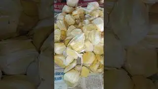 Kerala Style Jackfruit Recipe | Chakka Puzhukku #keralafood #jackfruit #chakkapuzhukku #shorts