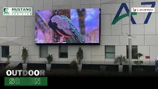 Top LED & SMD Screen Solutions for Indoor & Outdoor | Mustang Communication #smd #Screen #Smdscreen