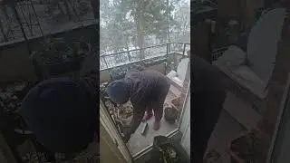 Cleaning my tiny balcony. Winter preparation
