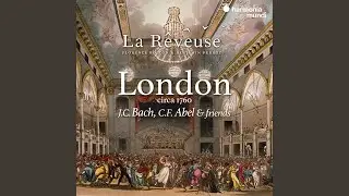 Concerto a Viola da Gamba Concertata in G Major (Arr. Thomas Fritzsch and G&uuml;nter von Zadow...