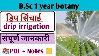 ड्रिप सिंचाई।।drip irrigation system।। Botany।। Bsc 1 year।।paper -1।। hindi