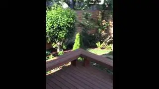 Banning & Chris - New Portland Pad