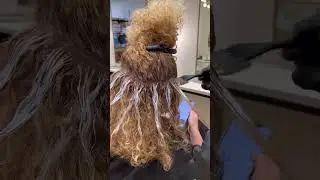 BEAUTIFUL CURLY HAIR BALAYAGE + GRAY COVERAGE with Evan Joseph!