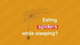 Do We Eat 8 Spiders a Year While We Sleep?