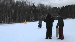 Zwaygstix Azazello. Кубок Легиона 2011. Защита IPO-3.