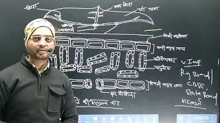 Structure of leaf | class 10th | ncert | rbse | cbse | state board