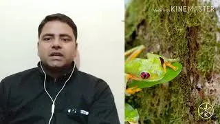 How to make better youtube video, अच्छी वीडियो कैसे बनाये