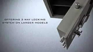 Platinum Drug Safe - The Drug Safe