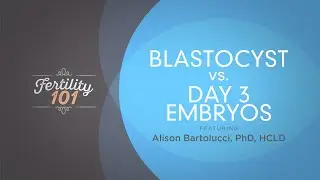 Blastocyst Vs. Day 3 Embryos