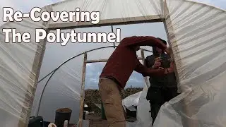 Allotment Diary : Covering The Polytunnel