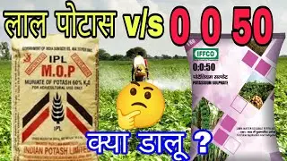 लाल पोटास से बेहतर है npk 0 0 50 । iffco npk 0 0 50 fertilizer । MOP fertilizer