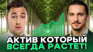 Этот актив в десять раз прибыльнее своих конкурентов!