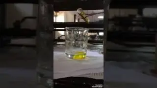 Fluorescent test