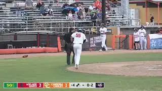 #ABL2425 | Cubs prospect Matt Halbach with an RBI for Canberra