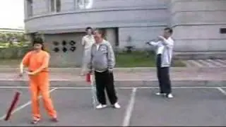 Zhang Laoshi teaches Long Xing Jian