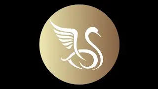 SENIOR SWANS BALLET PERFORMANCE