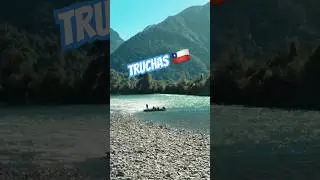 Viste la Serie del R&iacute;o Puelo? 🇨🇱 📷 🎣🐟🚤 #hermanosalapesca #halp4k