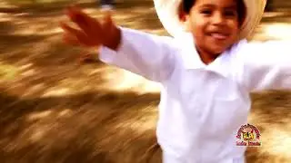 Veloz de La Sierra - El Cuije (SUSCRIBETE)