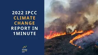 IPCC Report 2022 on Climate Change explained in 1 minute | Summary