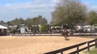 Ashton with junior rider -  training hunters in Ocala
