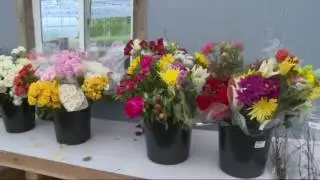 'Bloom Project' bouquets for hospice patients
