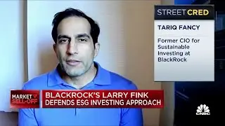 Sustainable investing is mostly marketing and PR: Former BlackRock exec