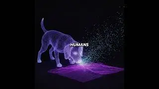 Psychology says dogs and cats can actually sense human sadness,