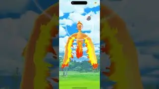 Catching a Non Shiny Moltres 🫠🫠🫠 #moltres #raid #pokemon #pokemongo