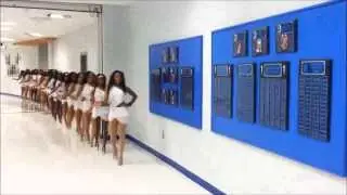 WHS Lion's Mane Attraction Dance Team Auditions 2014