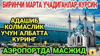 Аэропорт Домодедово Проверка Обзор  .    Aeroport Domodedova vaziyat qanday?