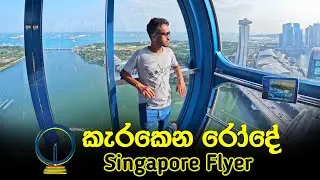 සිංගප්පූරුවේ කැරකෙන රෝදේ අම්මව එක්කන් ගියා | Singapore Flyer Experience with my Family 🇸🇬 (2024)