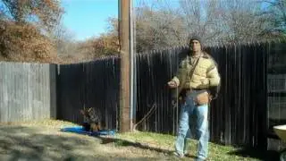real life dog training - Redeeming Dogs