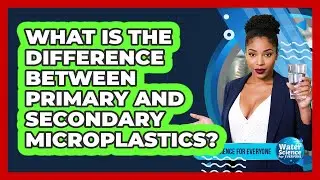 What Is the Difference Between Primary and Secondary Microplastics?