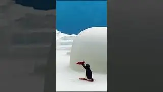 Pingu and his Plane! #Pingu