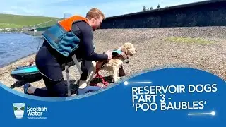 Reservoir Dogs Part 3 -  'Poo Baubles'