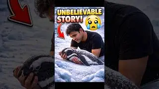 Viral penguin real story #truestory #humanity #animallovers #viral #shortvideos #inspiration #shorts