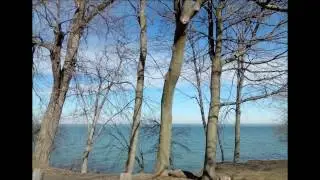 Winter 2017