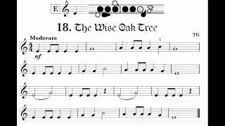 18 The Wise Oak Tree Video