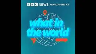 How did a meteorite from Mars end up at auction in New York? - BBC World Service