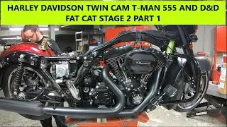 HARLEY DAVIDSON TWIN CAM T-MAN 555 И D&D FAT CAT, ЭТАП 2, ЧАСТЬ 1