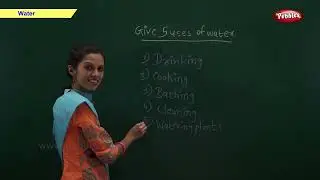 Water | Science Basics For Kids | Science For Class 1 | Pebbles Online Class