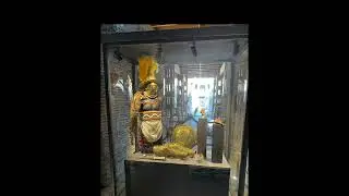Rome Colosseum Experience: Private Tour & Arena Floor Access