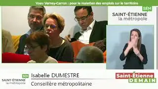 Conseil m&eacute;tropolitain du 26 mars - Intervention Isabelle Dumestre - Voeu Verney-Carron