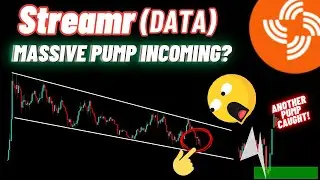 Massive Pump Of Streamr  DATA Coin Incoming?